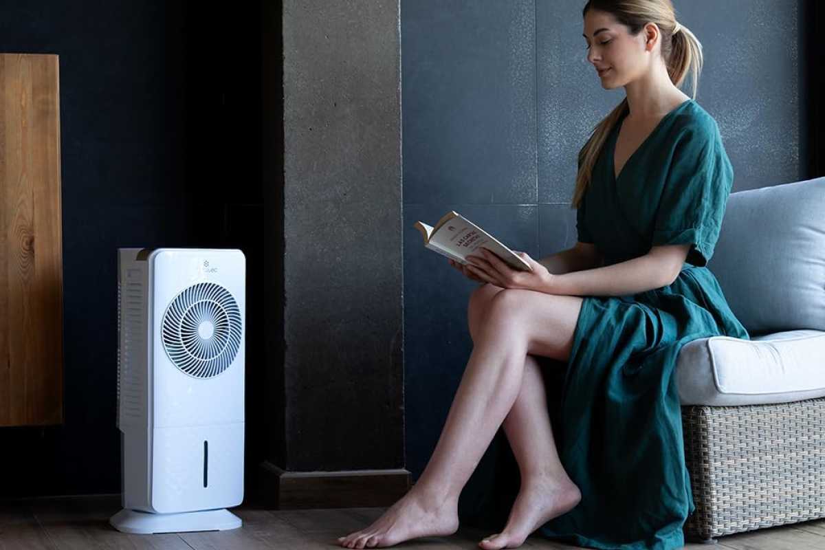 Rafraichisseur air salon
